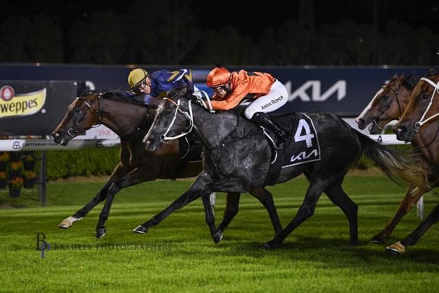 CHIPS IN ON VEGAS RAIDER