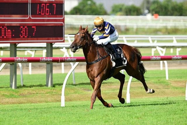 KING KAPA PUTS THEM TO THE SWORD
