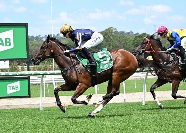 IMPERVIOUS DAZZLES ON DEBUT