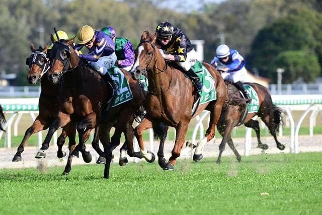 GENETIC FREAK FLIES AGAIN