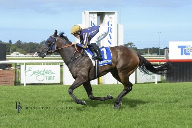 INVADE AND CONQUER ENJOYS THE COMFORTS OF HOME