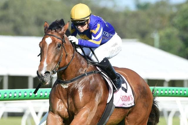 QUEENSTAR SHINES BRIGHT AT IPSWICH