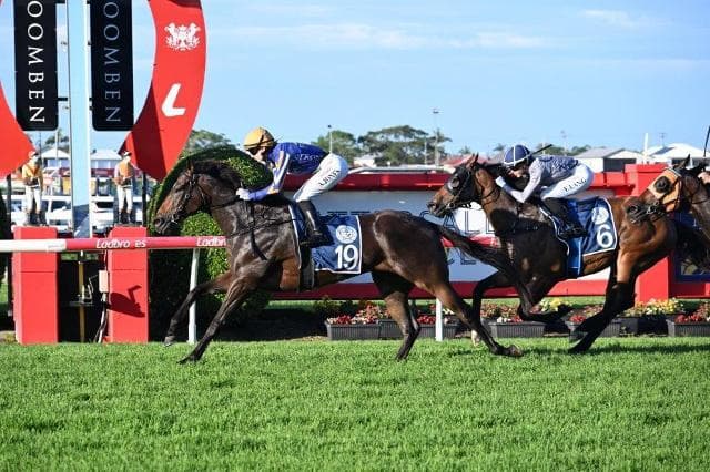 BOSSED UP ON A MAGIC MILLIONS PATH