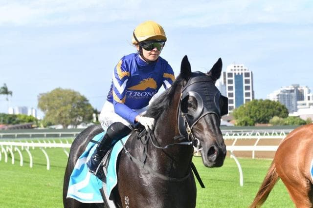 BOSS MODE DOMINATES IN HIS MAIDEN VICTORY