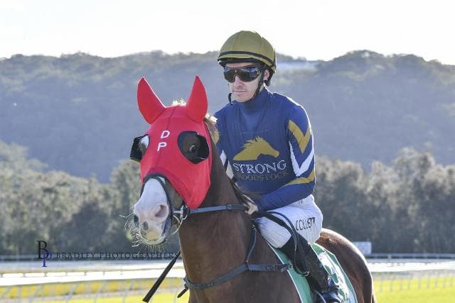 DUKE OF CAMDEN REIGNS SUPREME AT GOSFORD