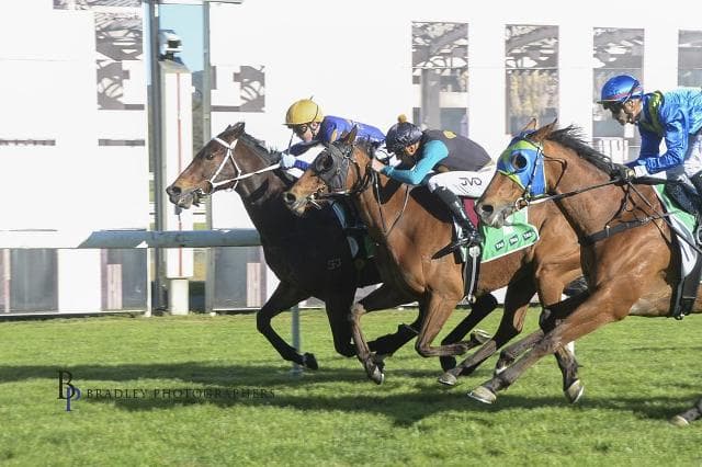 GENETIC FREAK FLIES AGAIN