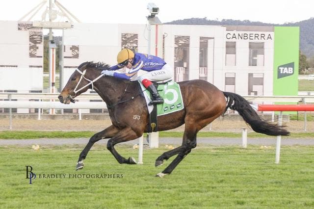 CAPITAL PERFORMANCE BY GENETIC FREAK