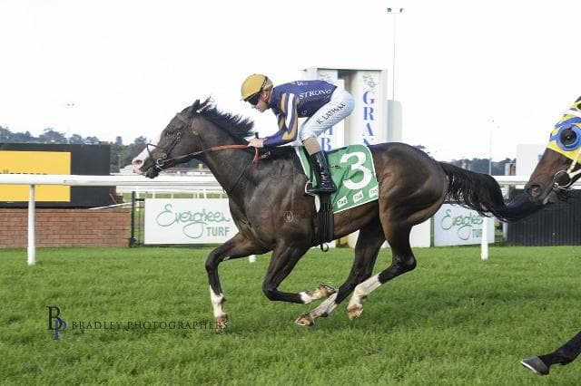 ZARAGOZA DELIVERS FOR CONNECTIONS