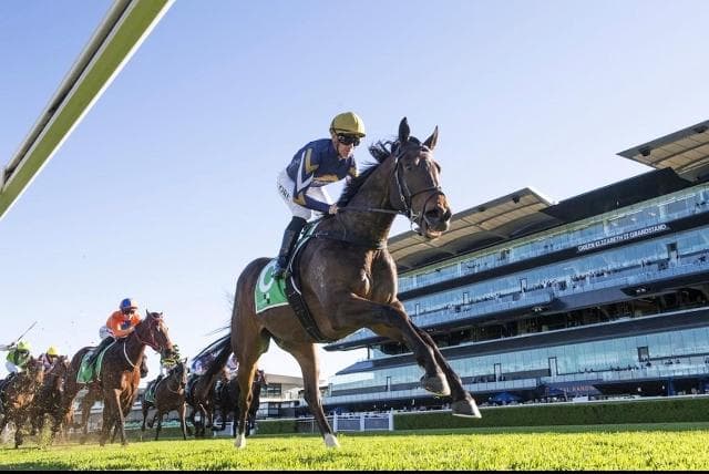 Stakes Class Talent Emerging in ICE KOOL